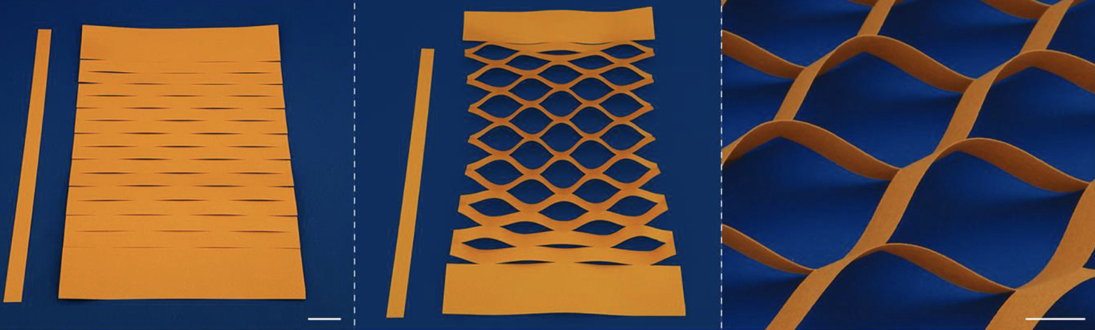 Model for kirigami buckling